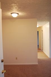 Newly Remodeled Apartment  in Newport News, VA (Photo 4 of 4)