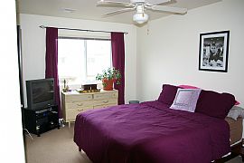 Modern Open Townhouse in Bellemont, AZ (Photo 4 of 6)