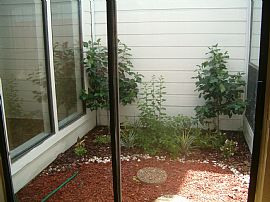 3/2 Centrally Located in North  Dallas in Dallas, TX (Photo 5 of 6)