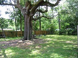 3 bedroom 2 bath Convenient Mandarin Location in Jacksonville, FL (Photo 2 of 2)