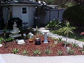 One Bedroom / One Bath Apartment in Dunedin in Dunedin, FL (Photo 4 of 6)