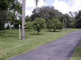 One Bedroom / One Bath Apartment in Dunedin in Dunedin, FL (Photo 6 of 6)