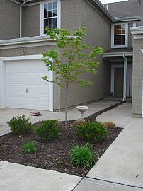 Townhome for Rent near Olathe, KS in Gardner, KS (Photo 6 of 6)