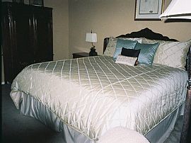 Immaculate 3 Bedroom Property/Pretty           in Pearland, TX (Photo 2 of 6)