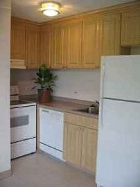 Diamond Head Pualei - 2 Bedroom Bright & Breezy in Honolulu, HI (Photo 1 of 6)