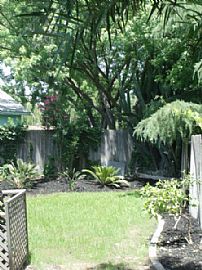 Move in Special. Move in by 6/30/09 and Save on deposit! in Citrus Heights, CA (Photo 2 of 6)