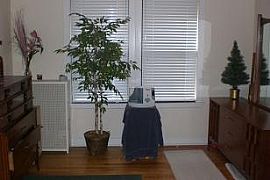 Vintage 1BR Courtyard Condo w/ Security Access  (Edgewater) in Chicago, IL (Photo 5 of 6)