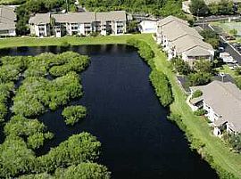 Beach Living in Palm Harbor, FL