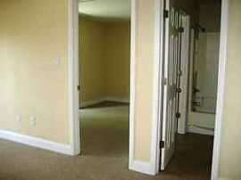 Beach Living in Palm Harbor, FL (Photo 3 of 6)