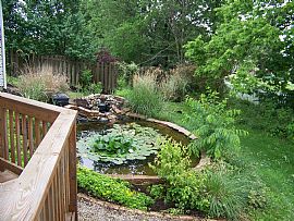 5bd room near Fishers YMCA and playground in Fishers, IN (Photo 2 of 6)