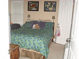 3 bedroom duplex need 1 female roommate in College Station, TX