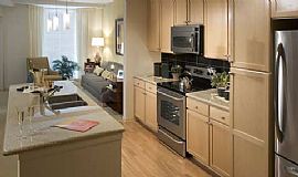 1bd Luxury apt available downtown Denver for short term lease in Denver, CO (Photo 3 of 6)