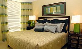 1bd Luxury apt available downtown Denver for short term lease in Denver, CO (Photo 4 of 6)