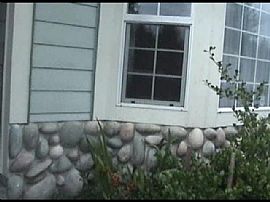 Rent Beautiful Single Family house in Olympia, WA in Olympia, WA (Photo 2 of 3)