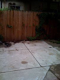 student housing in Philadelphia, PA (Photo 3 of 6)