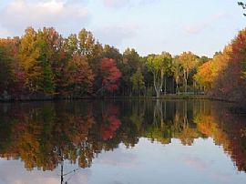 Fully Furnished Lodge , Freehold, Nj in Cream Ridge, NJ (Photo 8 of 9)