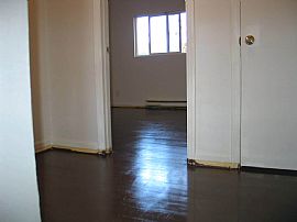 2 Bdrm New MGMT. Remodeled!! in Charlotte, NC (Photo 3 of 4)