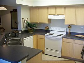 Beautiful Lyme Stone Ranch Apartments in New Smyrna Beach, FL (Photo 2 of 6)