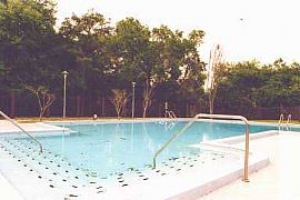 Lovely 2 Bed 1.5 Bath Townhome with covered parking !! in Brandon, FL (Photo 5 of 6)