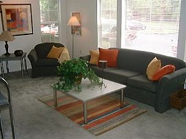 University Commons Condos 4/2 - Individual Leases in Gainesville, FL (Photo 2 of 5)