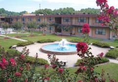 Fully furnished 1 Bedroom 1 Bath in North Charleston, SC (Photo 5 of 5)