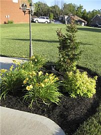 Beautiful All Brick 4 BDRM Home in Adams, TN (Photo 4 of 5)