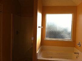 3br + 1study Great Deal House For Rent!! (arlington/ Grand in Arlington, TX (Photo 5 of 5)