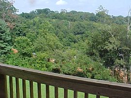 2 bedroom close to unca/downtown-utilities included  Free rent! in Asheville, NC (Photo 5 of 6)