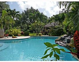 Tropical Paradise in Miami, FL