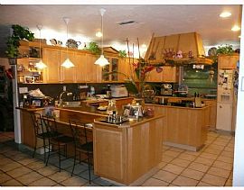 Tropical Paradise in Miami, FL (Photo 3 of 6)