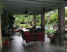 Tropical Paradise in Miami, FL (Photo 5 of 6)