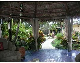 Tropical Paradise in Miami, FL (Photo 6 of 6)