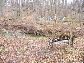 Lovely 5BR Home with amazing yard in Silver Spring, MD (Photo 3 of 6)