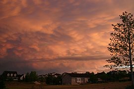 Large, Beautiful 5-BR CHAPPARAL Home on 1-1/2 ACRES! CCSD in Centennial, CO (Photo 3 of 6)