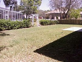 Charming 4/2/2 house for rent! in New Port Richey, FL (Photo 6 of 6)