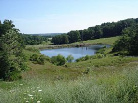 Ranch House for rent on a 320 Acre Horse Farm - 3 Bed, 2 Bath in Mansfield, MO (Photo 4 of 5)