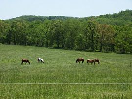 Ranch House for rent on a 320 Acre Horse Farm - 3 Bed, 2 Bath in Mansfield, MO (Photo 5 of 5)