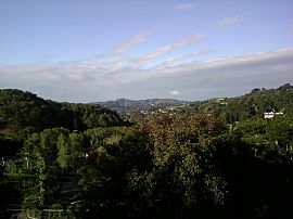 Furn.,Sunny, Spacious, Fireplace, Views, Private Floor of House in Mill Valley, CA