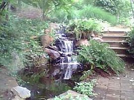 Senior Certified Home for rent, Shared Family Living, Waterfall in Charlotte, NC