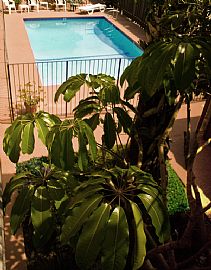 Adorable Studio near CSUN in Northridge, CA (Photo 6 of 6)