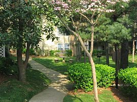 The Metropolitan at West End  in Nashville, TN (Photo 9 of 9)