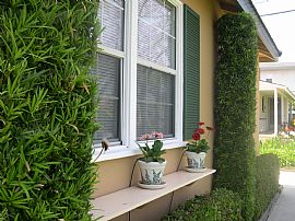 3 Bedroom House [PERFECT FOR SCHOOL] in Temple City, CA