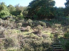 5/3 ALMADEN/ POOL/TOP SCHOOL in San Jose, CA (Photo 5 of 5)