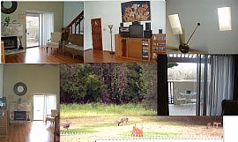 2/2 Condo 1027 sq ft, Quiet Area (Medical Center) in San Antonio, TX