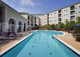 Great 2 Bedroom – 1 Bath Condo for Rent in South Arlington   in Arlington, VA (Photo 3 of 5)