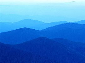 4 BEDROOM HOME NEAR PINE LAKE in Sammamish, WA