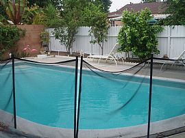 Perfect Family Home with Pool in Reseda, CA (Photo 5 of 6)