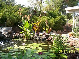 Beautiful 8 Acre Ranch + Home in Leona Valley, CA (Photo 5 of 6)