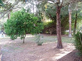 House For Rent in Sanford, FL (Photo 5 of 6)