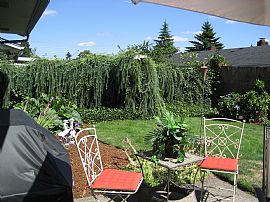 Beautiful Duplex for Rent 2 bedrooms 2 bath fenced in backyard. in Vancouver, WA